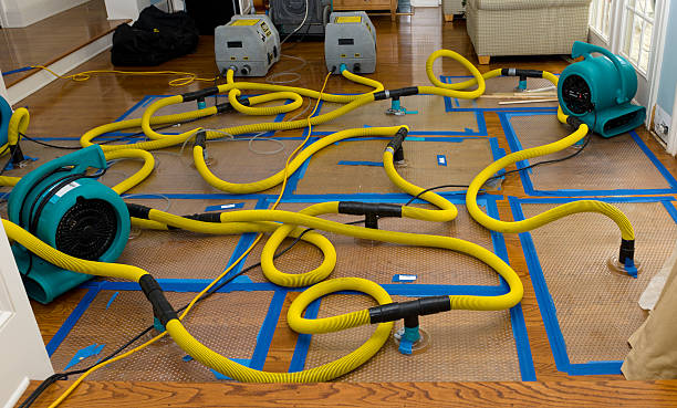 Professional Water Extraction technician working in Wampum, PA